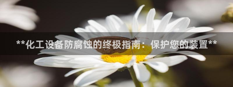 新城平台平台最新活动信息