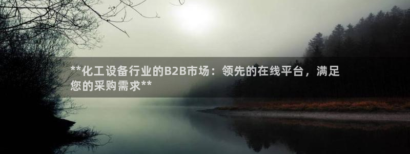 新城平台登录入口官网首页查询