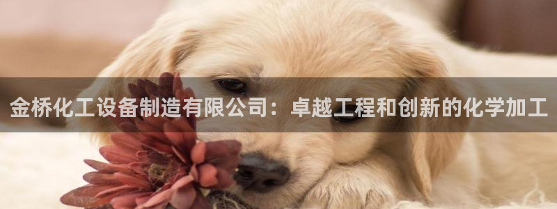 新城平台致7O777