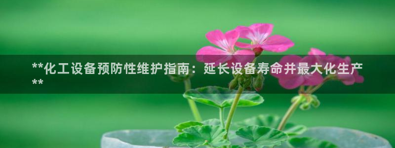 新城平台总代理是谁