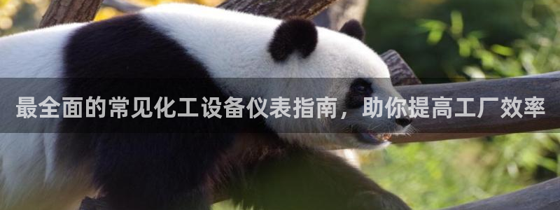 新城平台登录入口网址