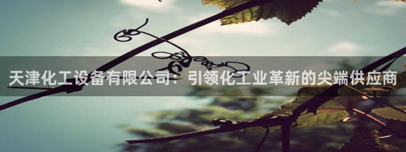 新城平台代理怎么做