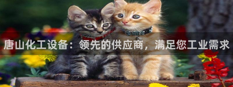 新城平台属于哪个系列