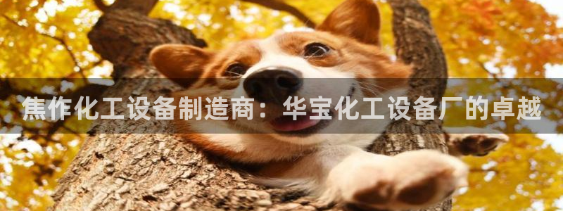 新城平台登录入口官网网址是多少