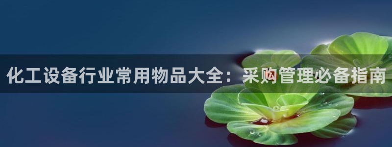 新城平台注册流程