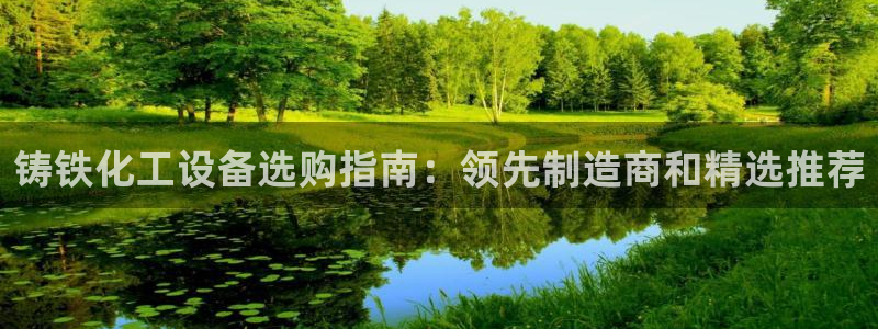 新城平台登录入口官网首页