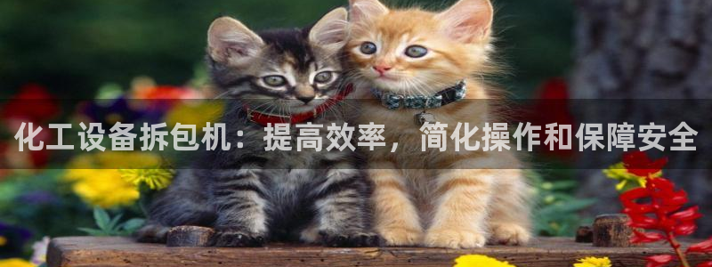 新城平台注册登录地址