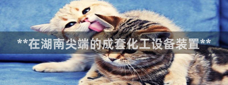 新城平台开户