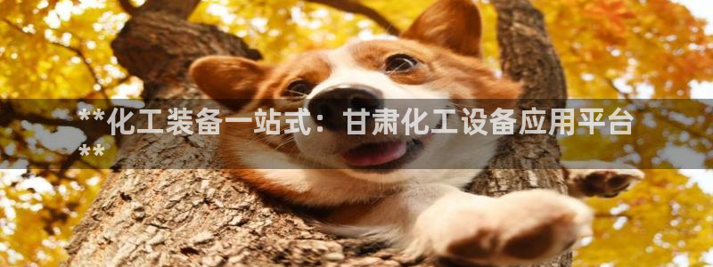 新城平台注册登录地址