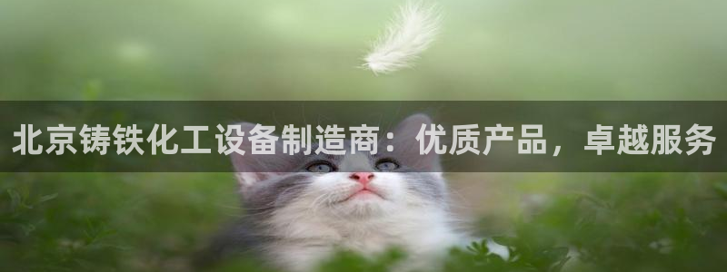 新城平台登录入口官网查询