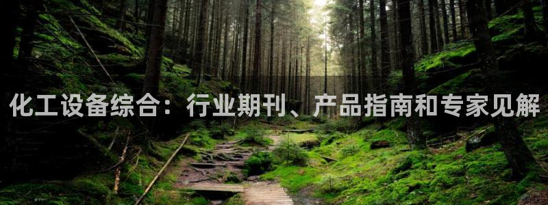 新城平台代理