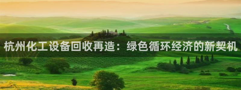 新城平台主管