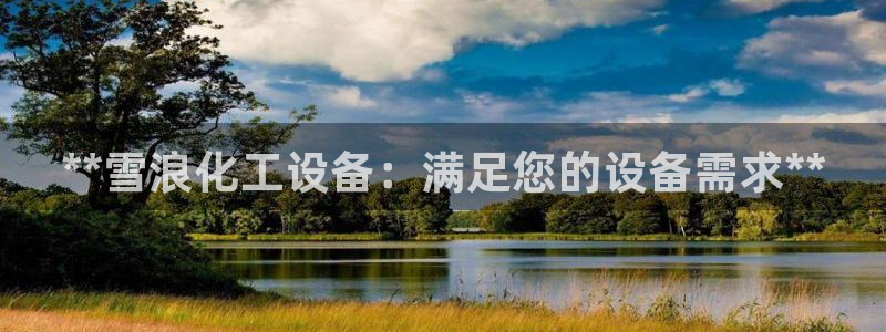 新城平台代理注册公司