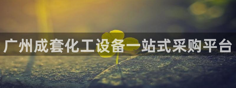 新城平台官网注册入口