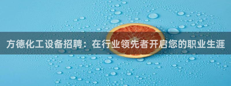新城平台登录入口官网查询系统