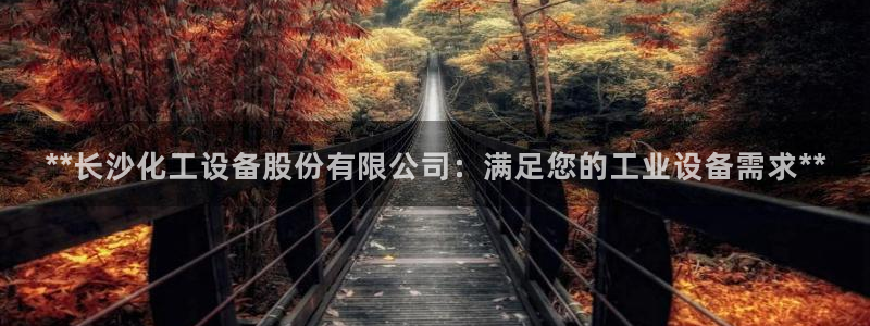 新城平台负责人是谁