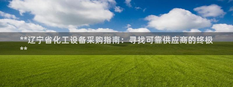 新城平台是干嘛的公司