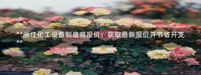 新城平台代理注册