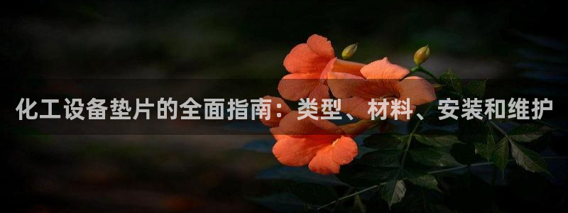 新城平台注册登录地址