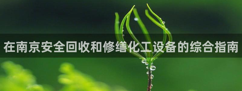 新城平台登录入口官网下载