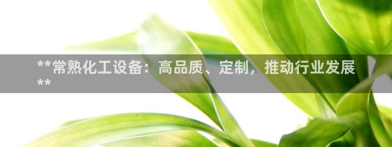 新城平台是干嘛的公司有哪些