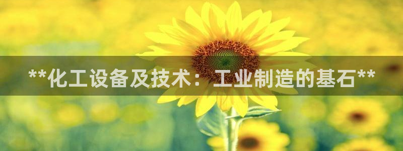 新城平台负责人名单