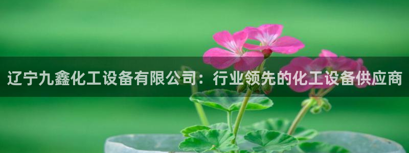 新城平台平台