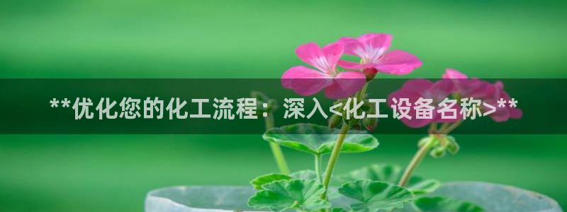 新城平台登录入口网址