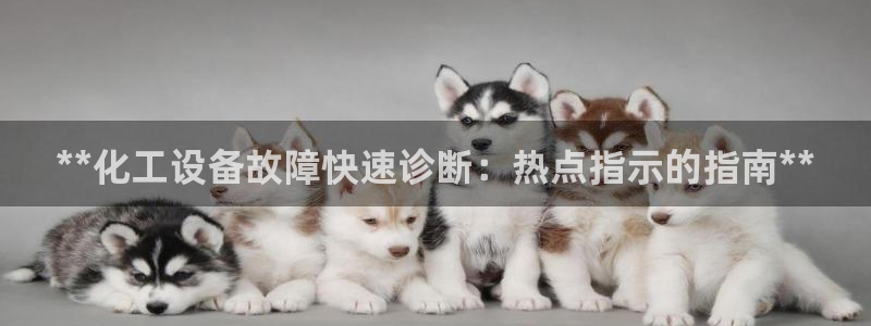 新城平台登录入口官网网址是多少