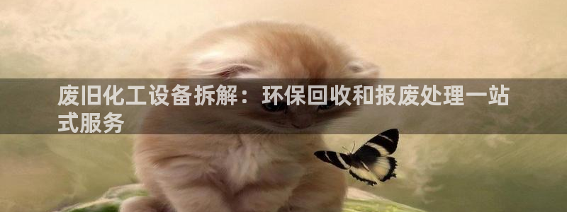 新城平台线路登录不上去怎么回事呢