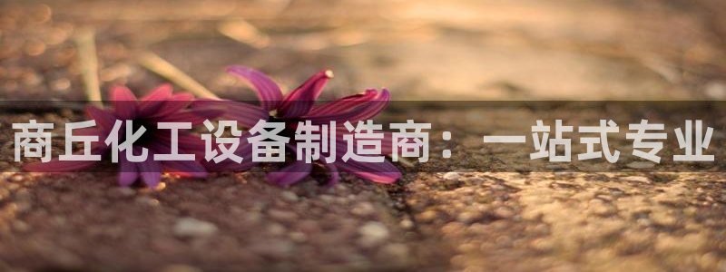 新城平台登录