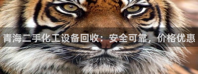 新城平台登录入口官网查询信息