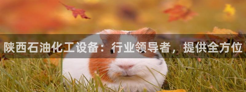 新城平台怎么样