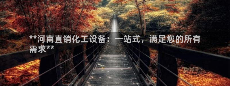新城平台注册公司流程及费用