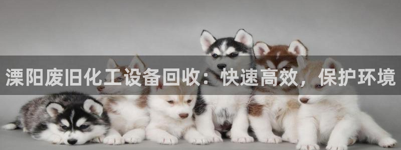 新城平台是干嘛的公司