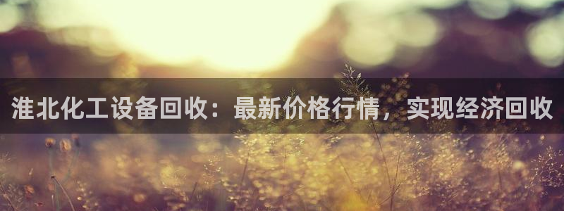 新城平台注册公司流程