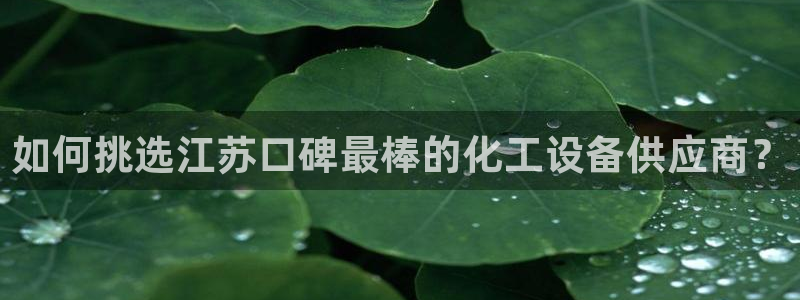 新城平台注册网址查询