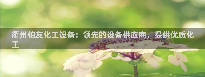 新城平台网址
