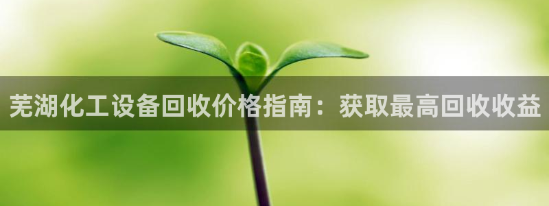新城平台是干嘛的公司