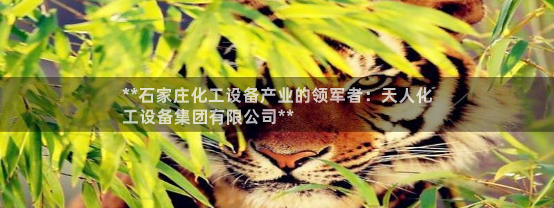 新城平台是正规平台吗