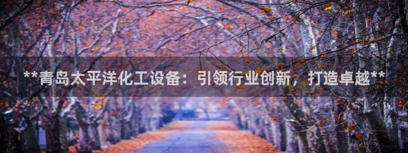 新城平台线路登录不上去怎么回事