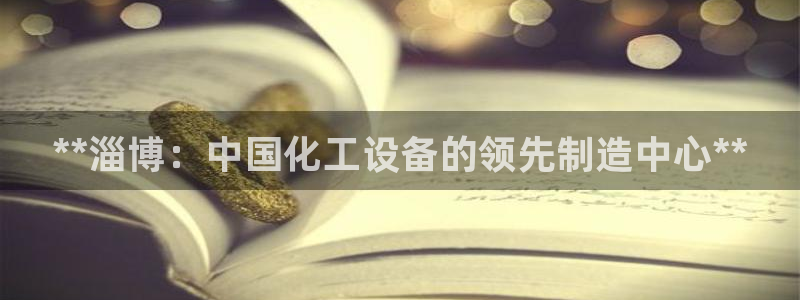 新城平台总代理是谁