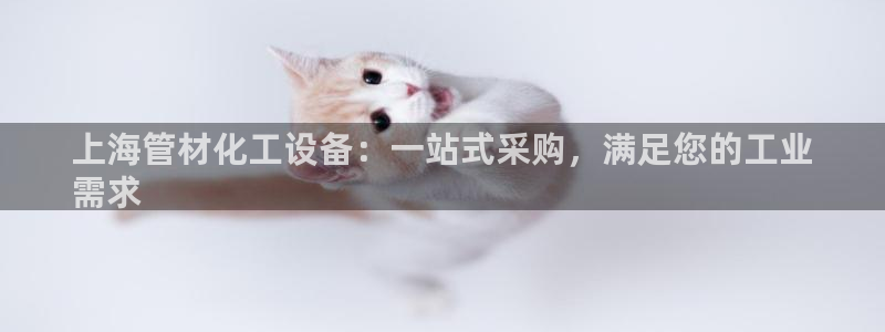 新城平台登录入口官网首页