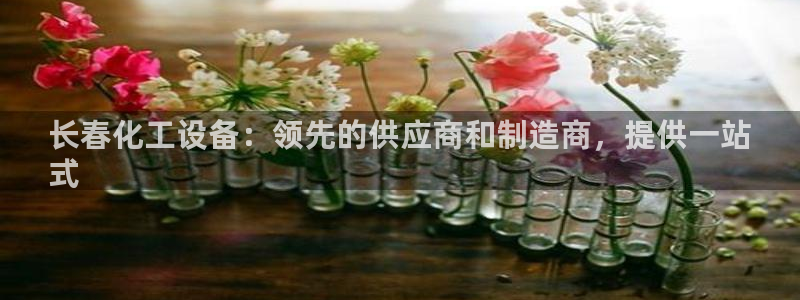 新城平台线路登录不上去了