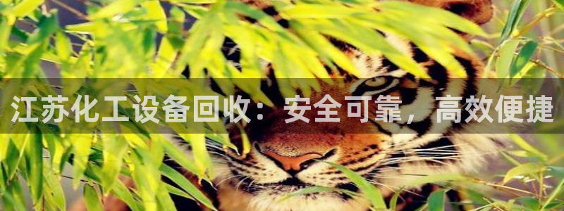 新城平台登录入口官网下载