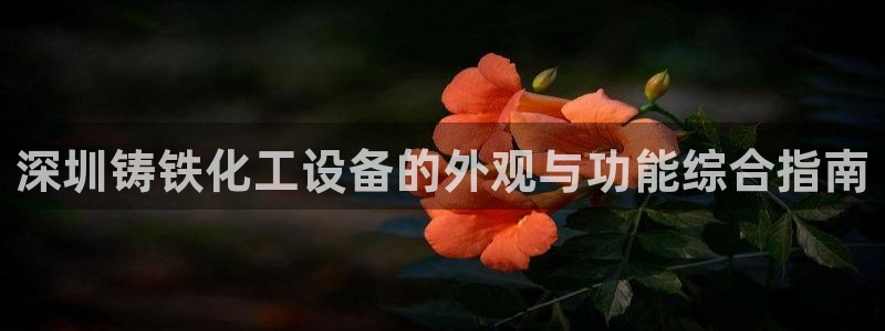 新城平台属于哪个系列