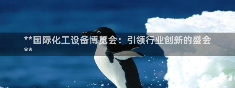 新城平台线路登录不上去了怎么办