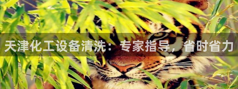新城平台注册公司流程