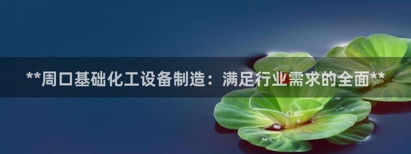 新城平台线路登录不上去怎么回事呀