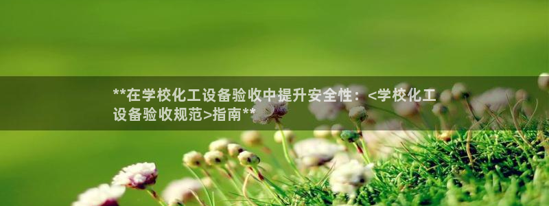 新城平台线路登录不上去怎么办